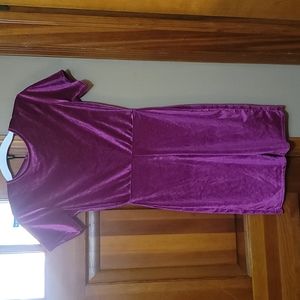 NWT Hot Pink Velvet Short Sleeve Unitard